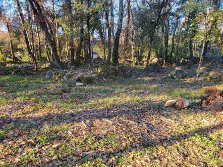 vente terrain 1000 m² à camps-la-source (83170)  149 000 €