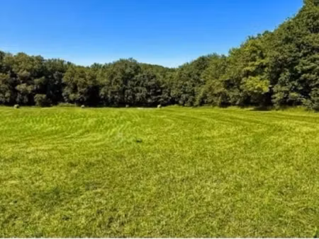 vente terrain 6866 m² à limeuil (24510)  66 000 €