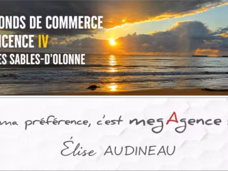 vente locaux professionnels 140 m² à les sables-d'olonne (85100)  527 500 €