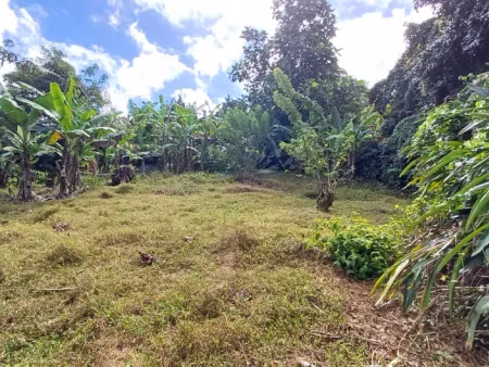 vente terrain à batir 1000 m² à le lamentin (97232)  162 595 €