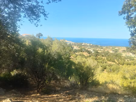 vente terrain 854 m² à monticello (20220)  315 000 €