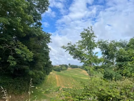 vente maison 4 pièces 118 m² à nousse (40380)  213 000 €