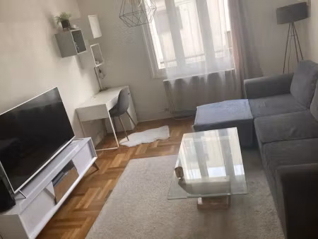 location appartement 2 pièces 58 m² à villeurbanne (69100)  880 €