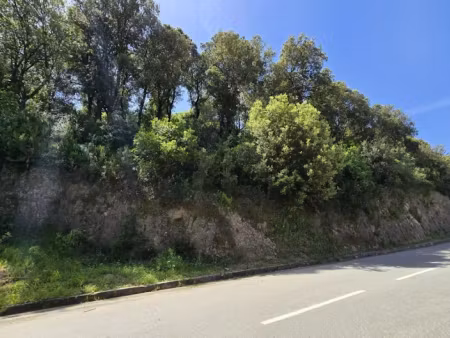 vente terrain 2032 m² à sartene (20100)  98 000 €
