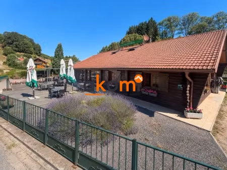 vente locaux professionnels 285 m² à grandrupt (88210)  360 000 €