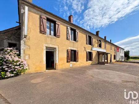 vente locaux professionnels 0 pièces 275 m² à saint-sauveur-en-puisaye (89520)  145 000 €