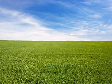 vente terrain 442 m² à landudec (29710)  31 500 €