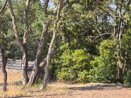 vente terrain 1050 m² à saint-raphael (83700)  550 000 €