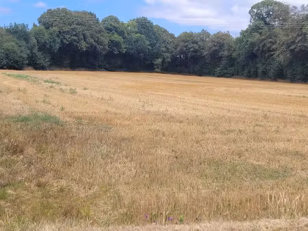 vente terrain 480 m² à plouigneau (29610)  50 000 €