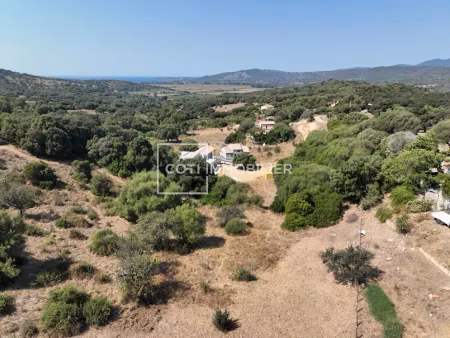 vente terrain 3400 m² à sollacaro (20140)  185 000 €