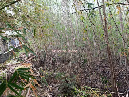 vente terrain 4175 m² à saint pierre (97410)  2 999 000 €