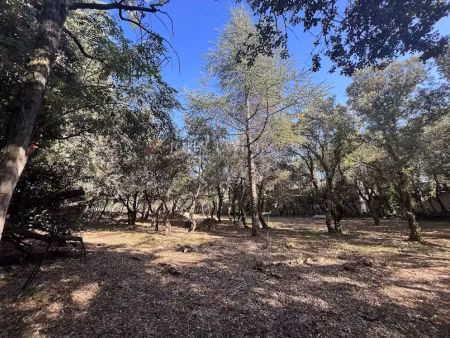 vente terrain à batir 845 m² à cabrières-d'avignon (84220)  188 000 €