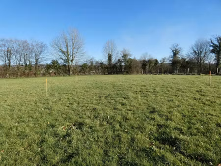 vente terrain 10000 m² à condé-en-normandie (14110)  77 000 €