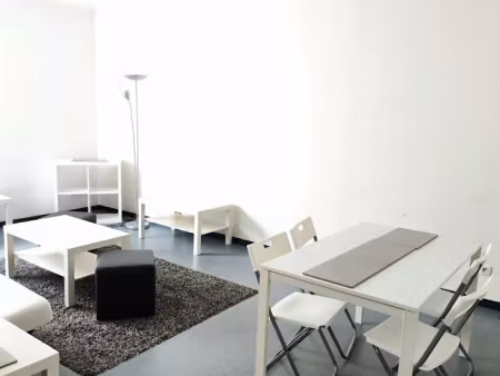 location meublée appartement 2 pièces 55 m² à lyon 3ème (69003)  970 €