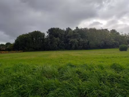 vente terrain 981 m² à sadirac (33670)  140 000 €
