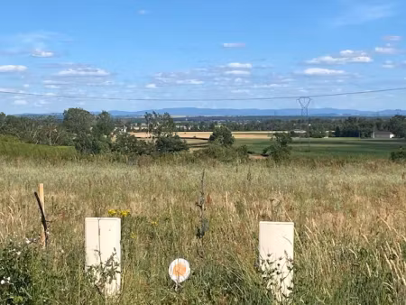 vente terrain 1092 m² à saint-pourçain-sur-sioule (03500)  31 700 €
