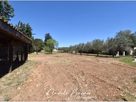 vente terrain 659 m² à usclas-d'hérault (34230)  149 000 €