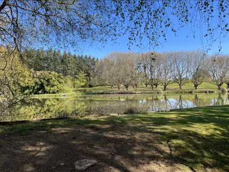 vente maison 1 pièce 35 m² à saint-yrieix-la-perche (87500)  123 600 €