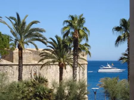 vente locaux professionnels 0 pièces 79 m² à antibes (06600)  895 000 €