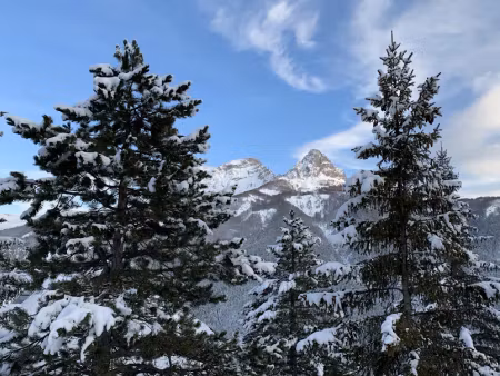 vente terrain 448 m² à pra loup (04400)  136 500 €