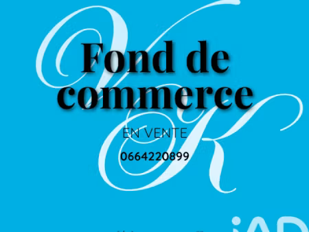 vente locaux professionnels 0 pièces 200 m² à cravant (45190)  55 400 €