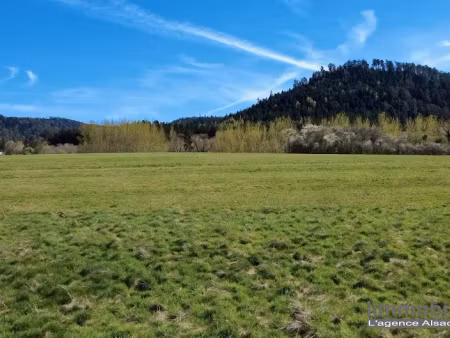 vente terrain à batir 892 m² à la bourgonce (88470)  45 000 €