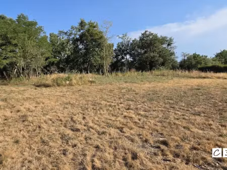 vente terrain 960 m² à carbonne (31390)  58 900 €