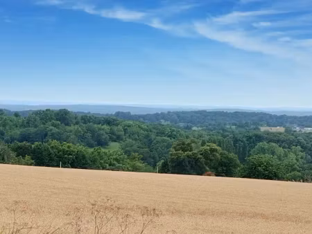 vente terrain 2600 m² à saint-sulpice-d'excideuil (24800)  30 000 €