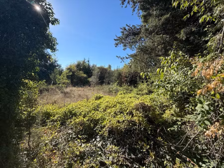vente terrain 1960 m² à laudun-l'ardoise (30290)  254 000 €