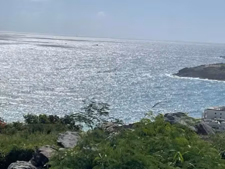 vente terrain 1467 m² à saint-martin (97150)  391 000 €