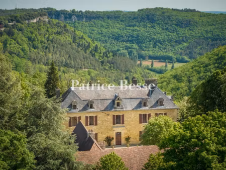 vente château 15 pièces 954 m² à castelnaud-la-chapelle (24250)  2 350 000 €