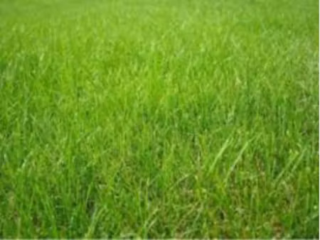 vente terrain 360 m² à landujan (35360)  44 000 €