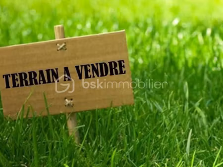 vente terrain 780 m² à nazelles-négron (37530)  40 000 €