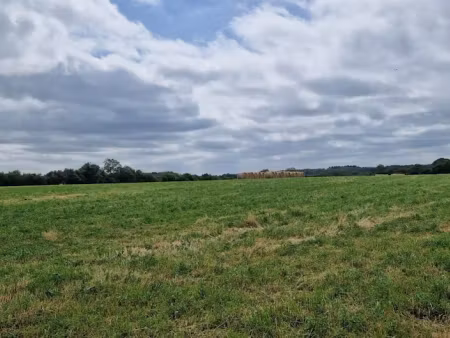 vente terrain 425 m² à thouarcé (49380)  36 520 €