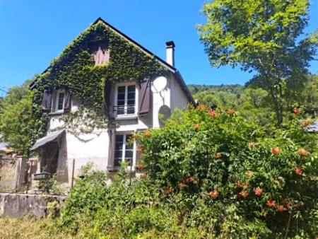 vente maison 5 pièces 109 m² à castillon-en-couserans (09800)  174 000 €