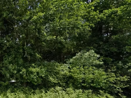 vente terrain 6381 m² à corme-royal (17600)  4 990 €