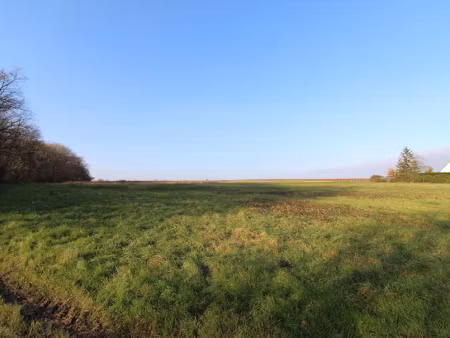 vente maison neuve 3 pièces 62 m² à sambin (41120)  159 323 €