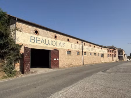 location locaux professionnels 0 pièces 36 m² à crêches-sur-saône (71680)  350 €