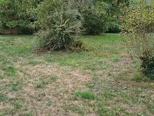 vente terrain 480 m² à sadirac (33670)  99 000 €