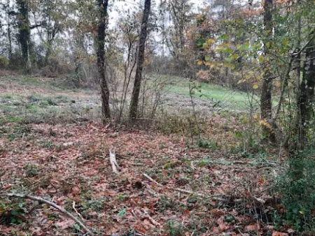 vente terrain 2300 m² à maurens (24140)  25 000 €