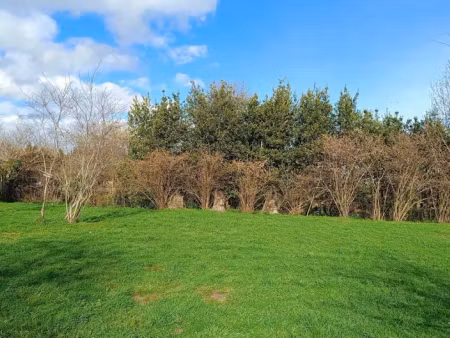 vente terrain 1000 m² à talais (33590)  77 000 €