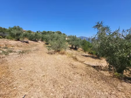 vente terrain 3964 m² à la trinite (06340)  205 000 €