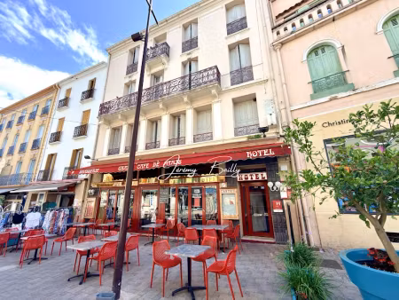 vente locaux professionnels 36 pièces 350 m² à amélie-les-bains-palalda (66110)  99 000 €