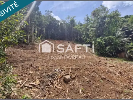 vente terrain à batir 1301 m² à riviere salee (97215)  64 500 €