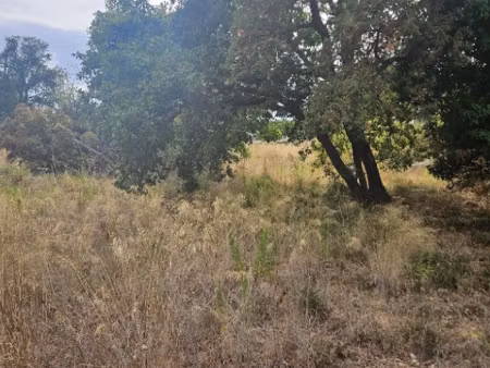 vente terrain 559 m² à frejus (83600)  249 500 €