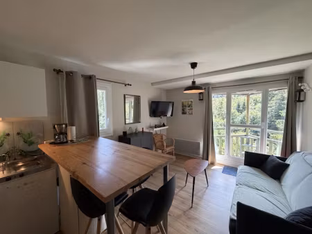 vente appartement 1 pièce 24 m² à laveissière (15300)  72 000 €