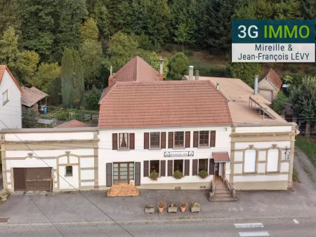 vente locaux professionnels 519 m² à troisfontaines (57870)  250 000 €