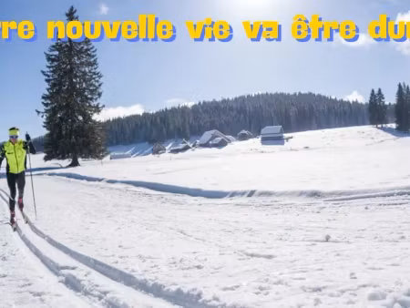 vente chalet 10 pièces 150 m² à lans-en-vercors (38250)  695 000 €