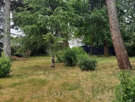 vente terrain 1200 m² à la teste-de-buch (33260)  1 700 000 €