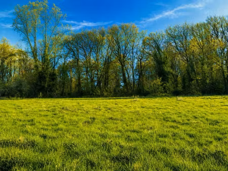 vente terrain 1000 m² à trélissac (24750)  65 000 €